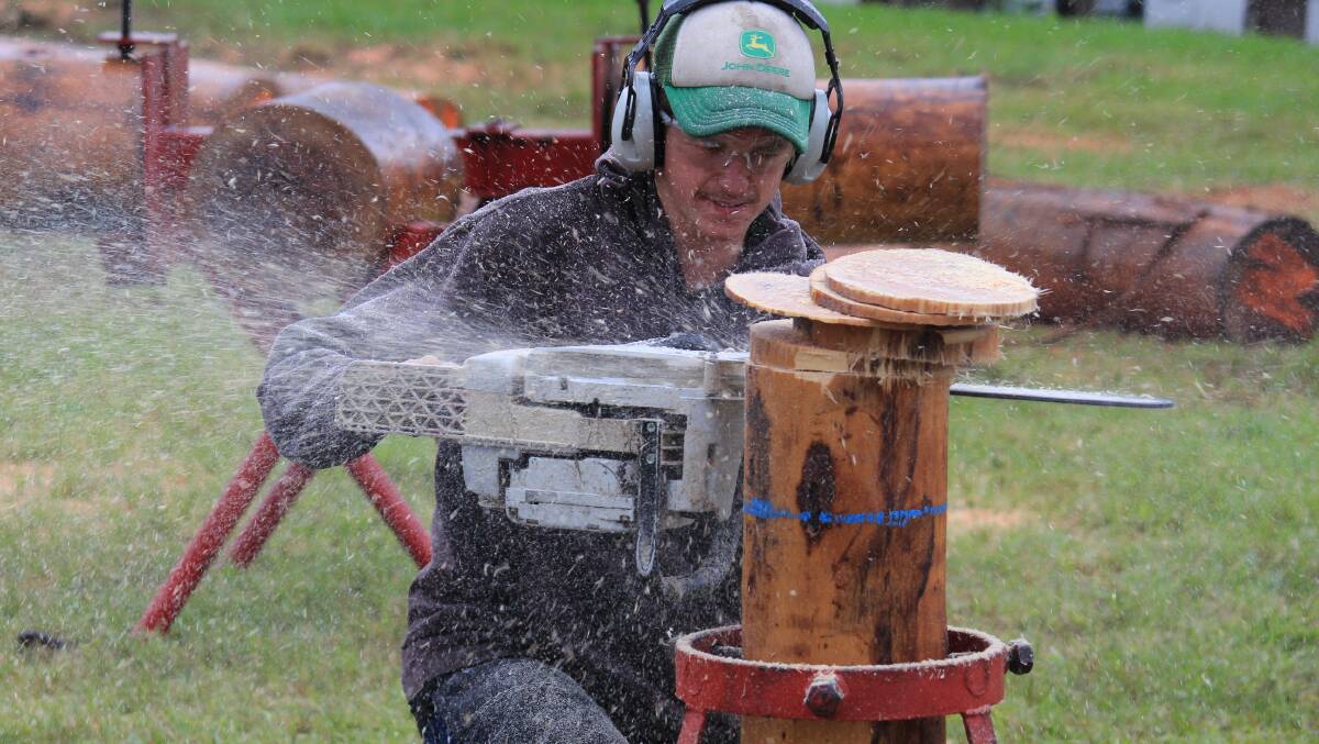 Chainsaw challenges at the 2017 Cobargo Show