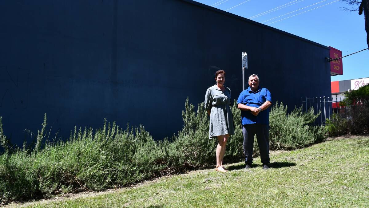 Terri Tuckwell and Gary Berman in front of the wall where a large mural commemorating Bega's service personnel will be painted. Picture by Ben Smyth