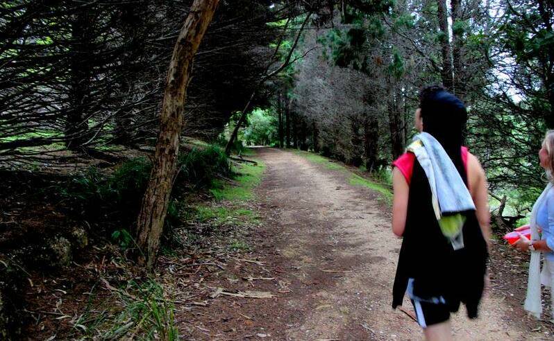 SCENIC WALK: Tony Harrington submitted this photo of his friends enjoying a forest trail near Tathra. Send photos to ben.smyth@fairfaxmedia.com.au.