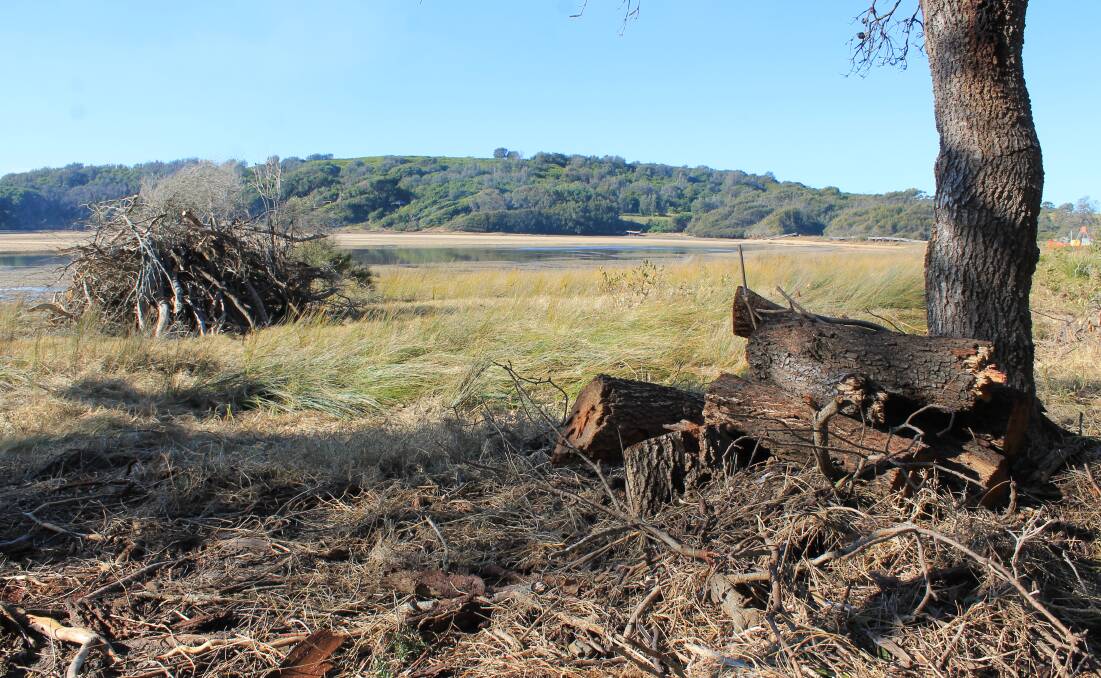KILLER VIEWS: Alleged illegal tree clearing at Wallaga Lake earlier this year where piles of brush and logs were left on the public foreshore. 