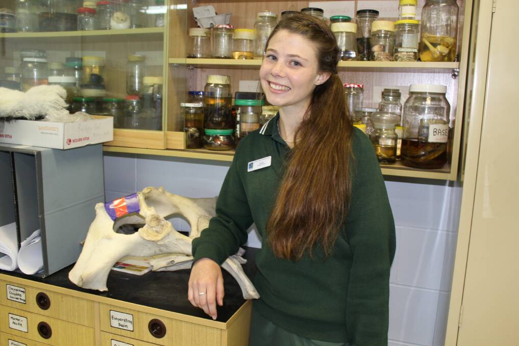 SCAC student Jade Moxey is revelling in the success of a science project looking at cattle and weed control.