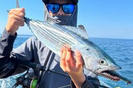 Local junior member Jackson Lee with a nice bonito, caught over the Easter weekend trawling around Tura Heads. Picture supplied