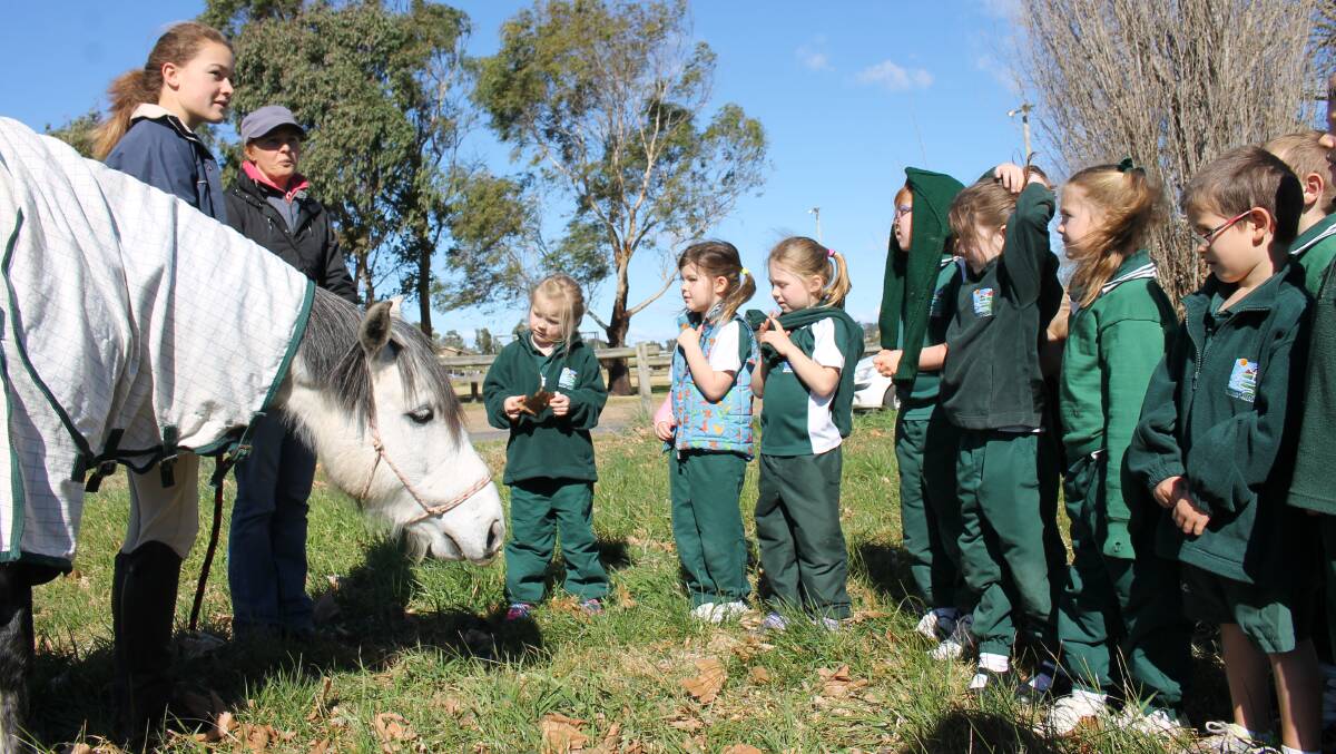 PONY KIDS: Kindergarten children from Sapphire Coast Anglican College observe older students at an equestrian training session at the Valley Fields this week.