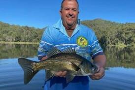 Glen Rollason's winning bass, after a great weekend bass fishing in the MBGLAC Brogo Big Bass in-house friendly competition. Picture supplied