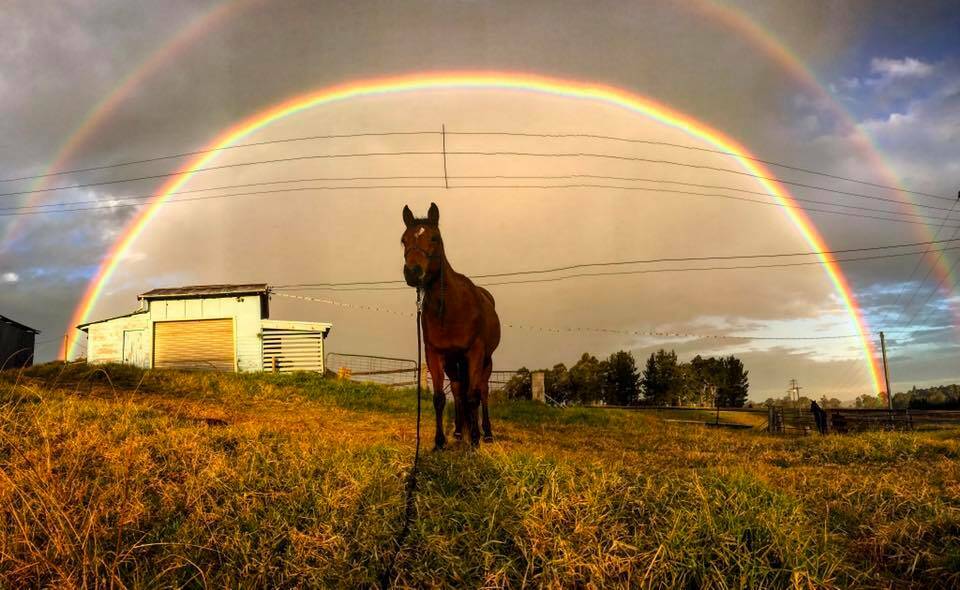 After only 0.2mm of rain fell on Bega Monday, a beautiful double rainbow had locals reaching for their cameras, including Cassie MacDonald who snapped this stunner.