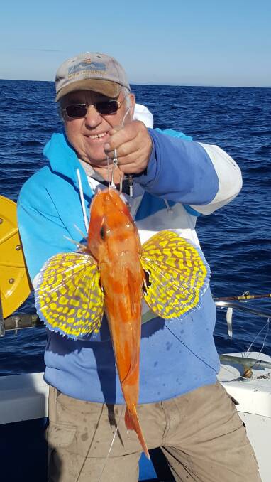 Ole Ersvaer with a nice 50cm flying gurnard caught in 70 fathoms. Picture supplied