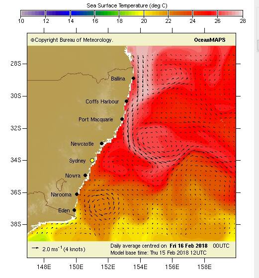 Current temp: Warmer water temperatures are travelling down the NSW Coast.