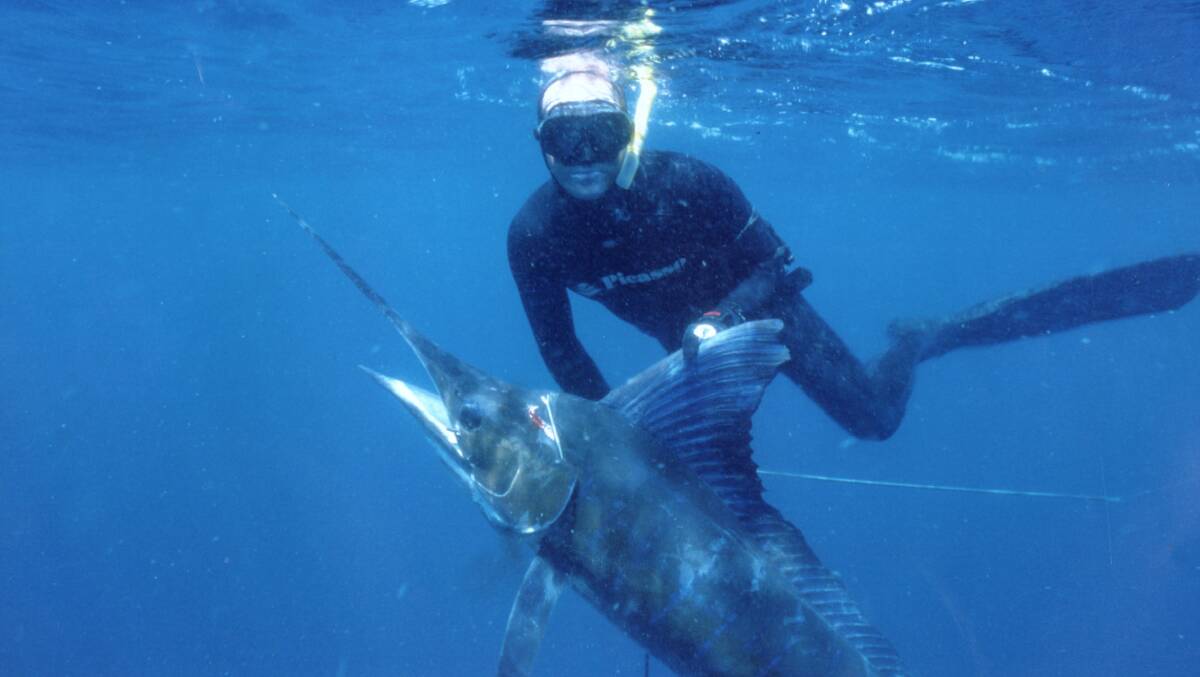 DEEP BLUE: Spearfishers will be diving the waters off Eden over the coming week as part of the Australian Open Spearfishing Championships. Picture: Fairfax file image