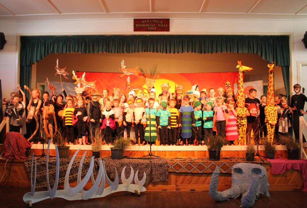 ENCORE: Every student at Wolumla Public School played a role in the annual school play for their rendition of The Lion King at Womula Hall on Tuesday. Photo: Alana Beitz