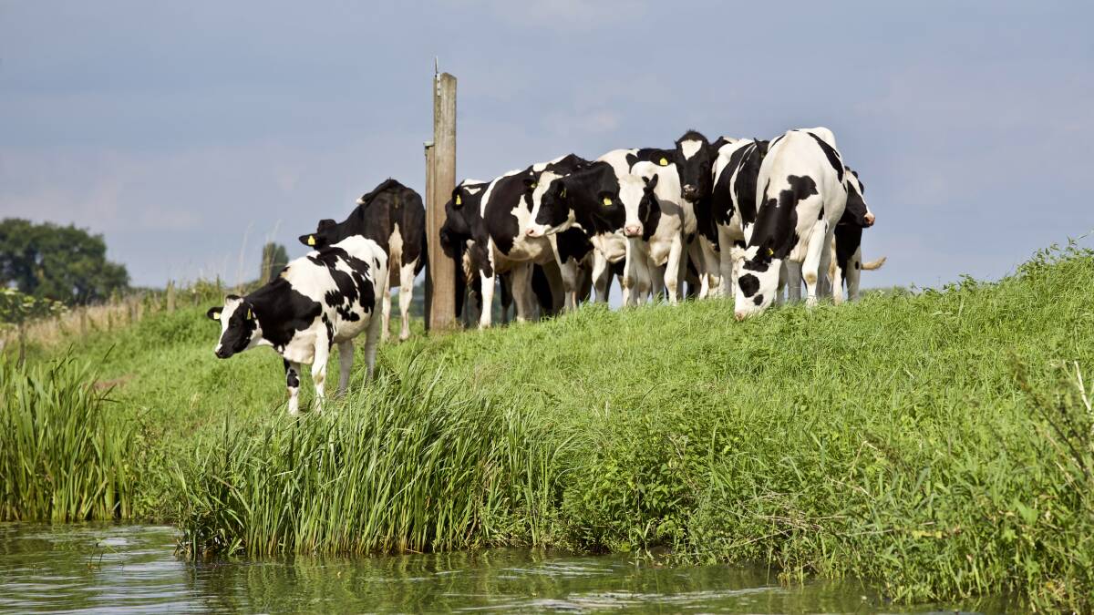 WATER WISE: despite a wet end to spring, farmers and livestock will still be affected in the coming months due to minimal rainfall during winter. 