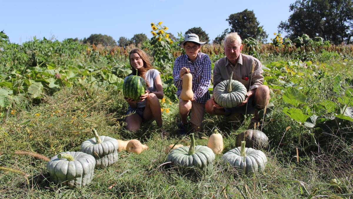 TOP PICK: Louise, Harry and their father Greg Wall select the top pumpkins from their crop for the Bega Show. 