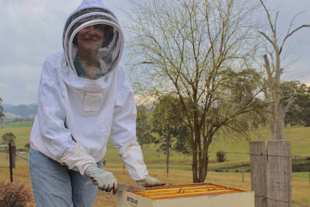 Bio buzz: Bega Valley Amateur Beekeepers Association biosecurity officer Fay Steward is urging beekeepers to inspect their hives this October and register with DPI. 