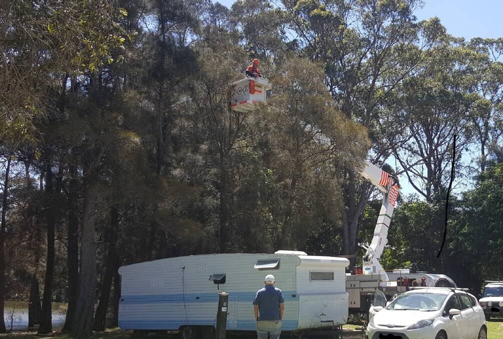 TREETOP TANGLE: An Essential Energy crew member ascends in a cherry picker to rescue a galah entangled in a tree at Wallaga Lake Holiday Park. Photo: supplied