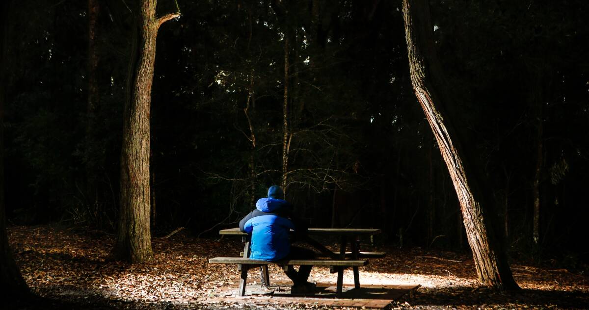 Better vision: A walker enjoys a quiet moment in the picnic area of Mount Keira Summit Park, which has been the subject of debate as Wollongong City Council develops a vision for its future. Picture: Adam McLean.