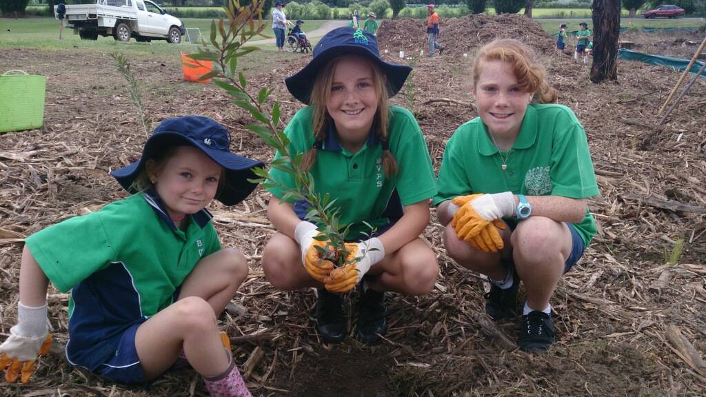 GREEN THUMBS: Bega Valley Primary School pupils, Anne Lucas, Kira Cesnik and Bianca Mackinnon plant native species at Kiss’s Lagoon.