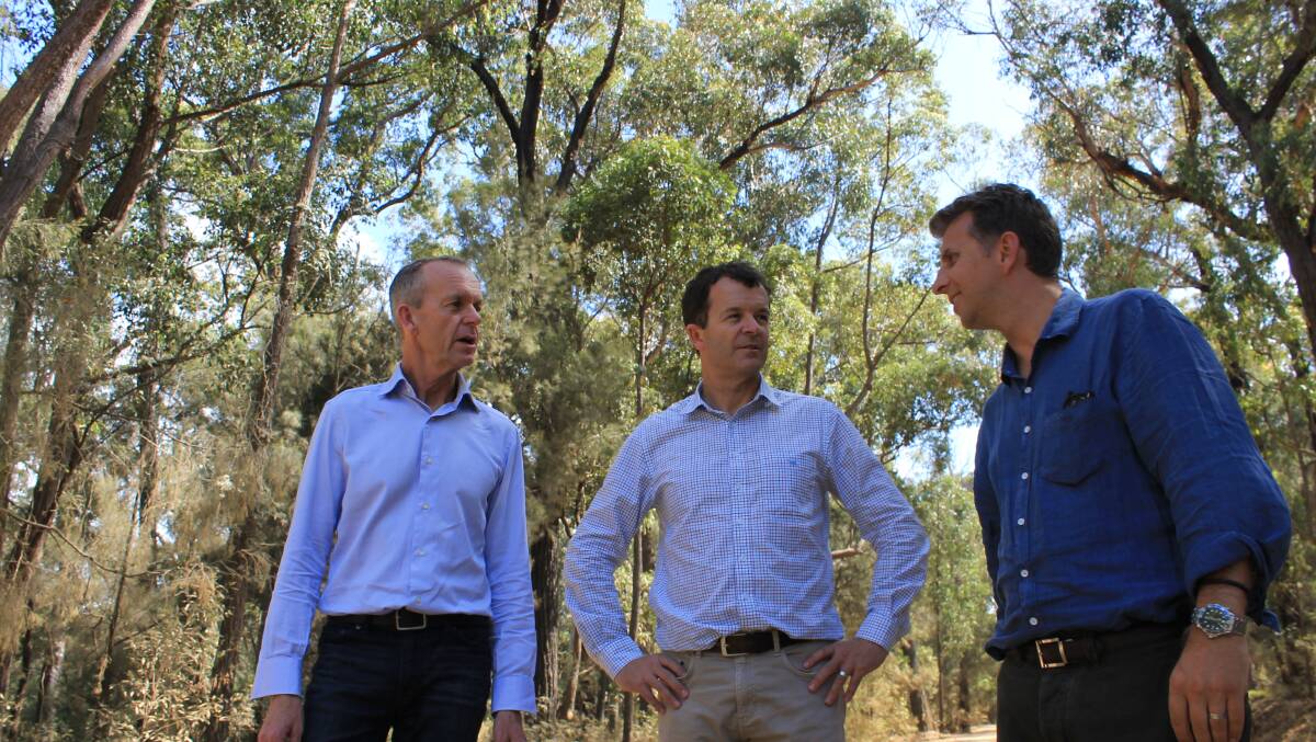 PROTECTING KOALAS: NPWS deputy chief executive Michael Wright, Environment Minister Mark Speakman and Member for Bega Andrew Constance visit Bermagui State Forest to discuss the four new flora reserves. Picture: Albert McKnight