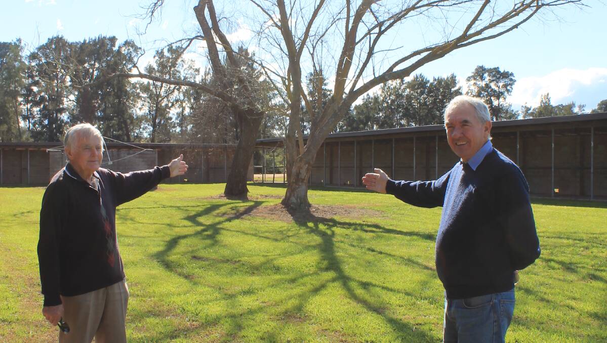 WELCOME: Bega Lions Club members Peter Wiley and Bryson Banfield show the space at the old racecourse where the market will be held. 