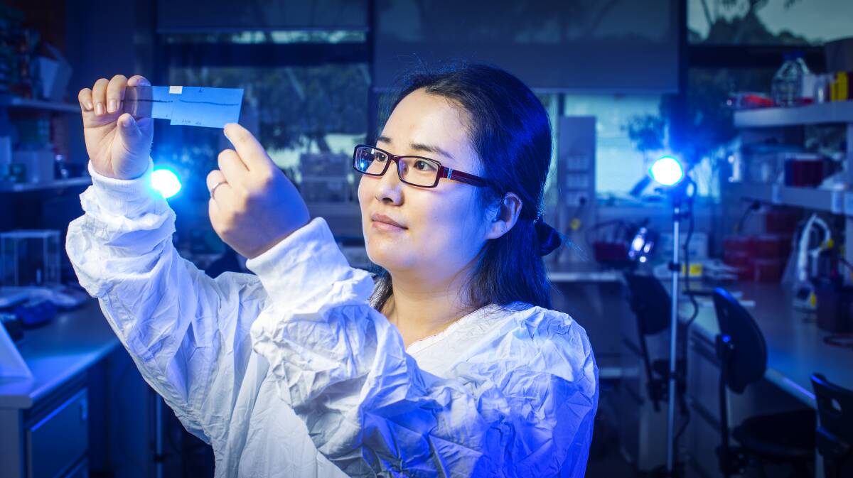 Dr Jiamei Lian from UOW’s School of Medicine and Antipsychotic Research Laboratory in the Illawarra Health and Medical Research Institute. Picture: UOW/Paul Jones