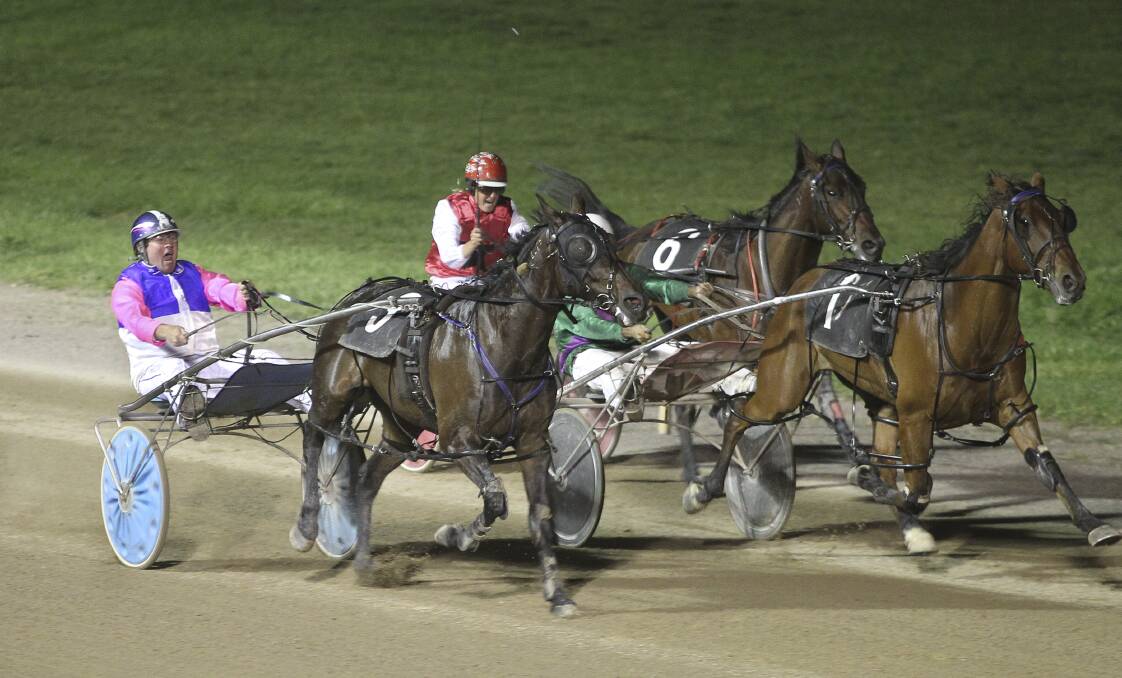 Canberra trainer: Harness racer Mick Sullivan has a team of horses prepared for the Bega Show next week. 
