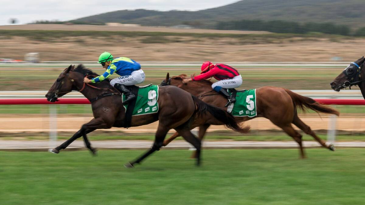 Racing will be blindingly fast with an eight-race card for the Merimbula Cup on Friday. 