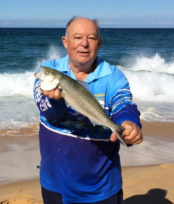 Nice catch: Merimbula Big Game & Lakes Angling Club secretary Chris Young shows a fine Australian salmon taken at Tura Beach during an outing over the weekend. 