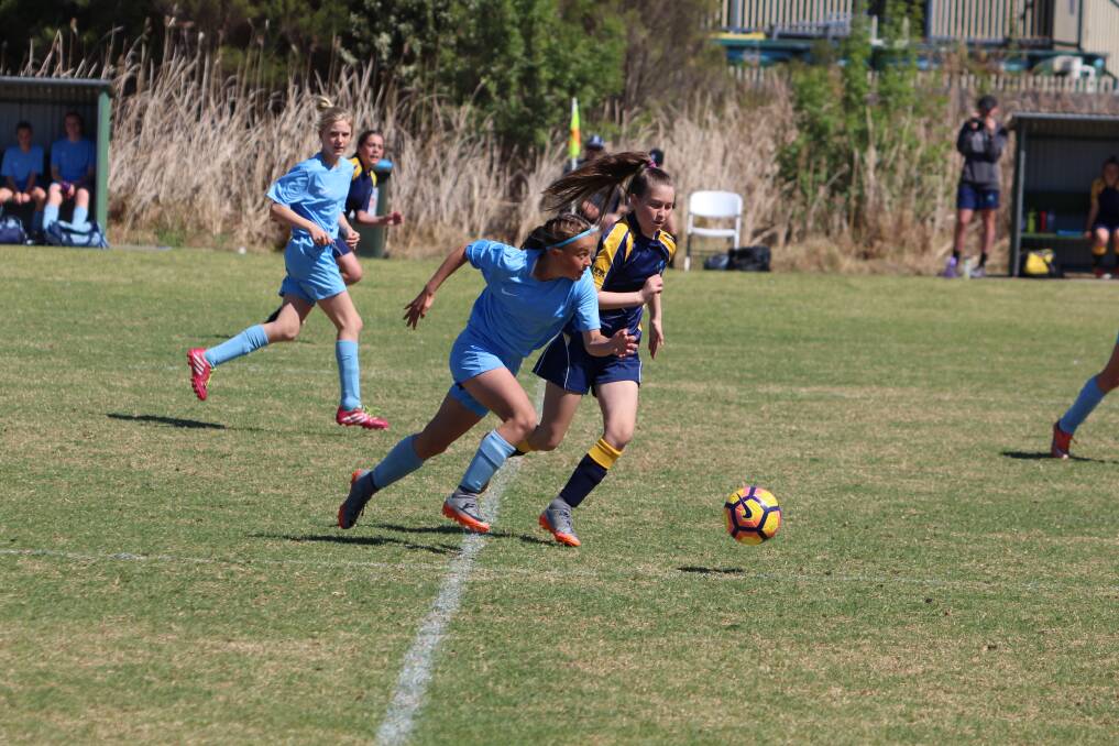 Speedy forward: Eliza-Jane Norris eyes up the goals against the Brindabella Blues during their Sunday fixture. 