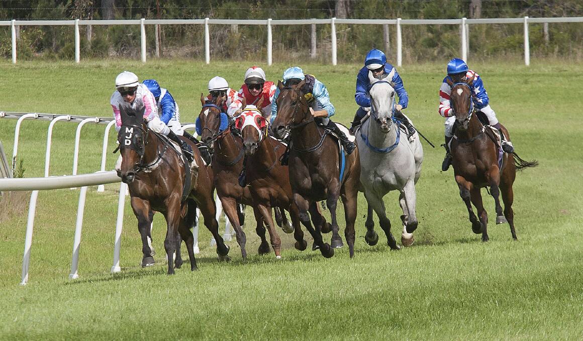 Home Straight: A field of horses round the final bend with the Sapphire Coast Turf Club hosting the Bega District News Spring Race Day on Thursday. 