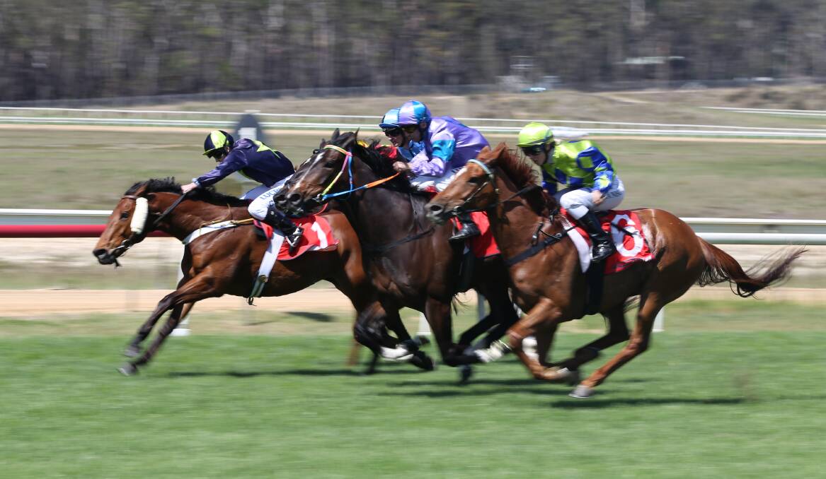 Close finish: Fans can expect huge fields and high stakes both on and off the field during the Bega Cup Carnival on Saturday and Sunday. 
