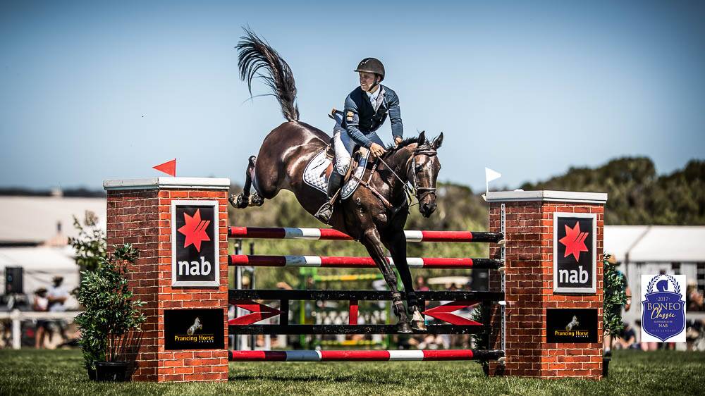 In action: Clint Beresford and Emmaville Jitterbug in action at the Boneo Classic. Picture: Stephen Mowbray