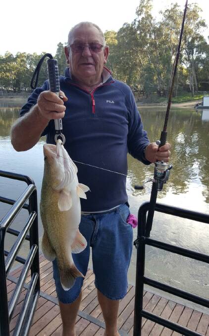 Local identity Daryl Turner with a beautiful Murray Cod taken while on a recent houseboat holiday on the Murray River at Echuca.