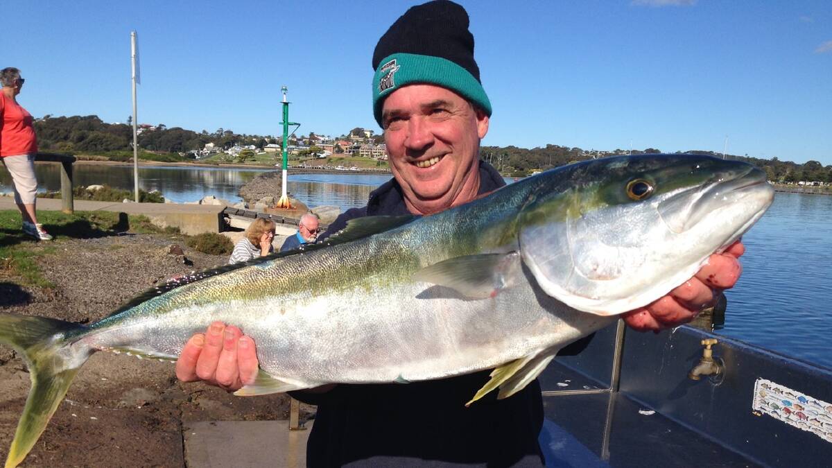 Catches of note from the Narooma Bermagui area