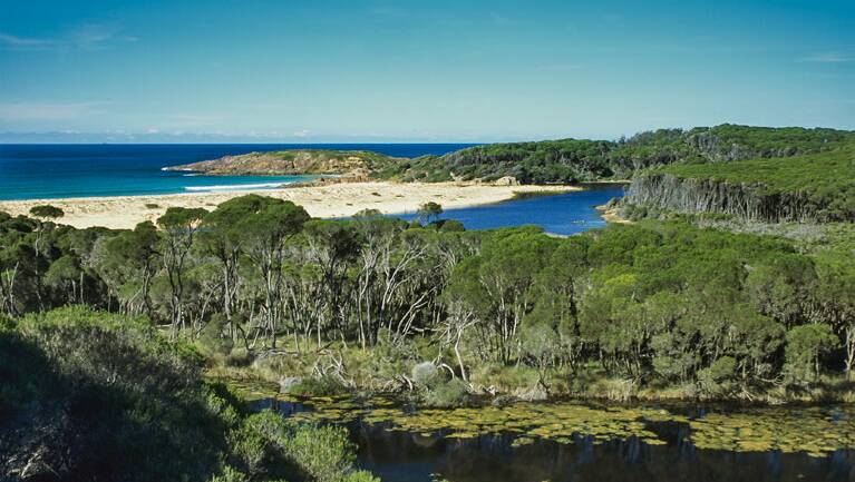 Bournda National Park. Picture: A Brown / NSW Government