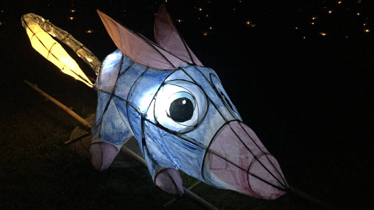 CREATIVE: One of the many lanterns as part of the winter solstice lantern festival at Mumbulla School for Rudolf Steiner Education last week. Picture: Ben Smyth