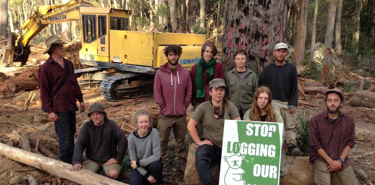 STALLED: Members of South East Forest Rescue (SEFR) prevented Forestry Corporation NSW logging in Tantawangalo State Forest on Tuesday.