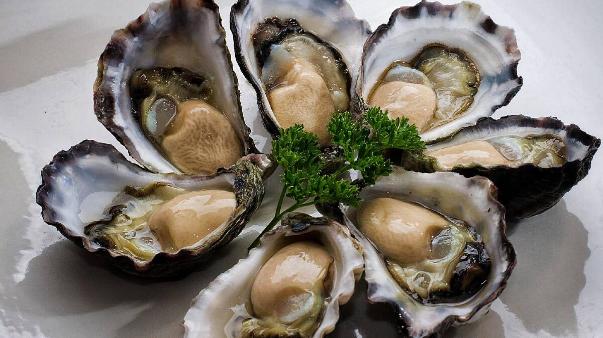 GOLD: Tathra Oysters'  have received a gold medal at this year's Delicious magazine produce awards in Melbourne on Monday.  Picture: Tathra Oysters