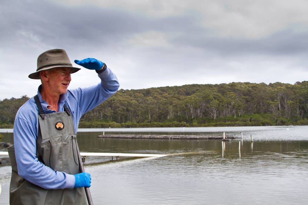 SCENIC: Gary Rodely from Tathra Oysters overlooks his oyster farm, which is located in the pristine waters of Nelson's Lake and surrounded by national park.