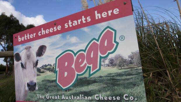 Bega Cheese dumped as baby formula venture sours