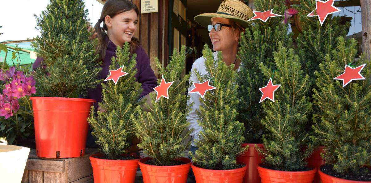 FINE PINE: Ella Kunzli-Doig with Judy from Bega Garden Nursery love the idea of living Christmas trees that give back to the planet.