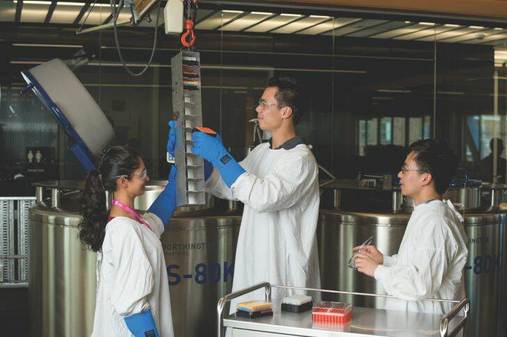 NSW mega-biobank set to stockpile more than 3 million human samples