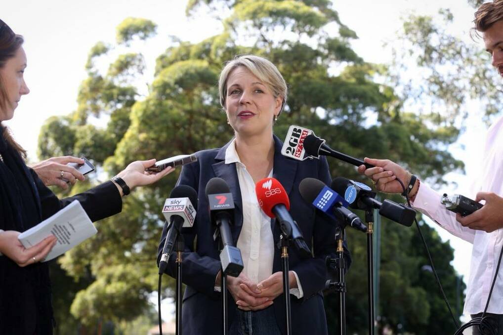 Acting Labor leader Tanya Plibersek. Photo: Andrew Meares