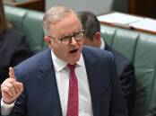 Anthony Albanese says a bill would close a loophole for people who don't have a right to be here. (Mick Tsikas/AAP PHOTOS)