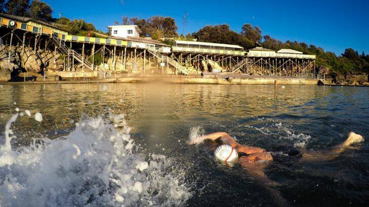 SMH NEWS 
With Sydney's air temperature at 13 degrees at 6am this morning, Wylie's Baths regular, Jane Poidevin enjoys her laps in the 20 degree water temperature on another clear autumn day in Sydney. 8th May 2015
Photo Dallas Kilponen Photo: Dallas Kilponen