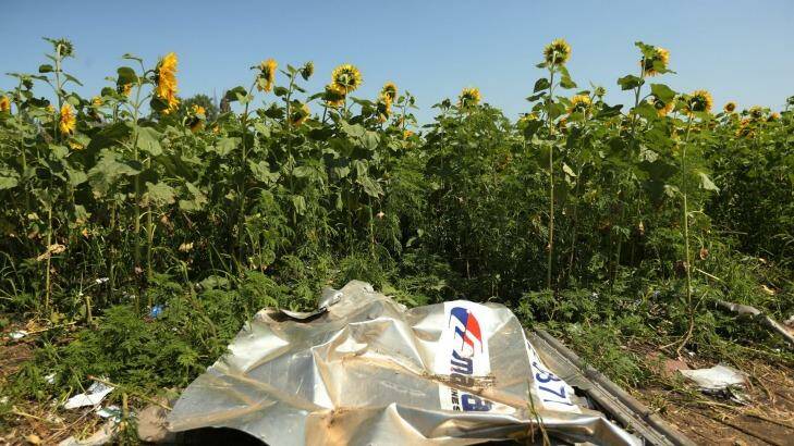 A piece of plane debris at one of the sites where the front section of MH17 crashed in Donetsk. Photo: Kate Geraghty