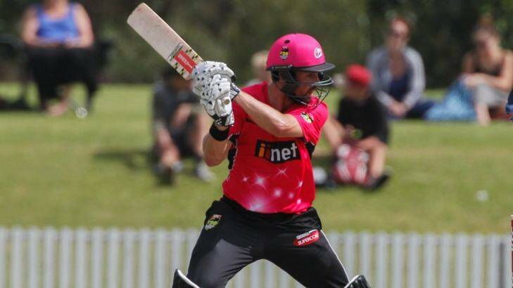 Ed Cowan dons the magenta for the first time in three years as the Sixers take on the Renegades  Photo: Christopher Chan 