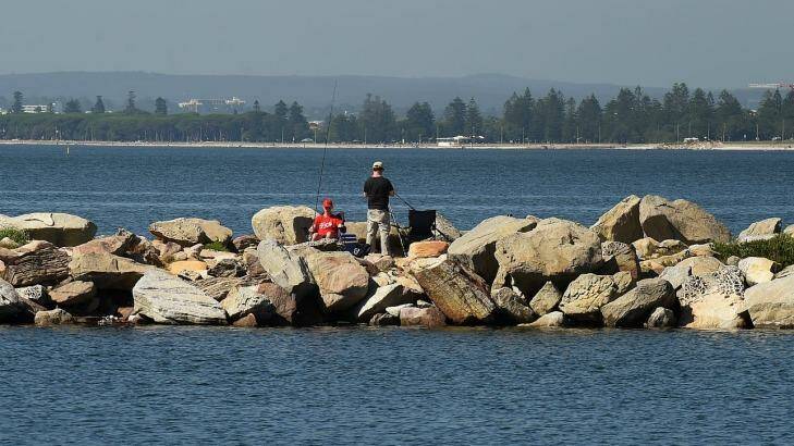 A search is underway for Sydney rock fisherman. Photo: Kate Geraghty