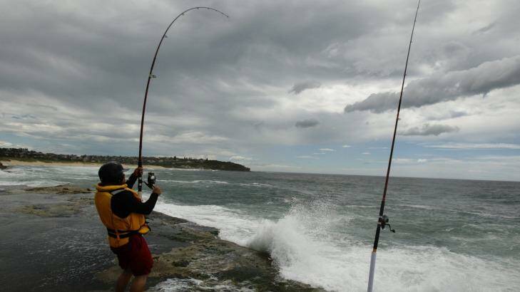 New laws enforce life jackets for rock fisherman. Photo: James Brickwood