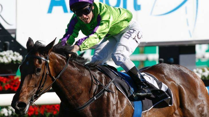 Jockey Tim Clark rides Global Glamour to win the Sydney Airport Flight Stakes.  Photo: Quentin Jones