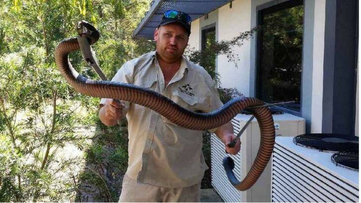 "Heavy as": Even catcher Geoff Delooze was surprised by the size of this snake. Photo: Newcastle and Hunter Animal Control