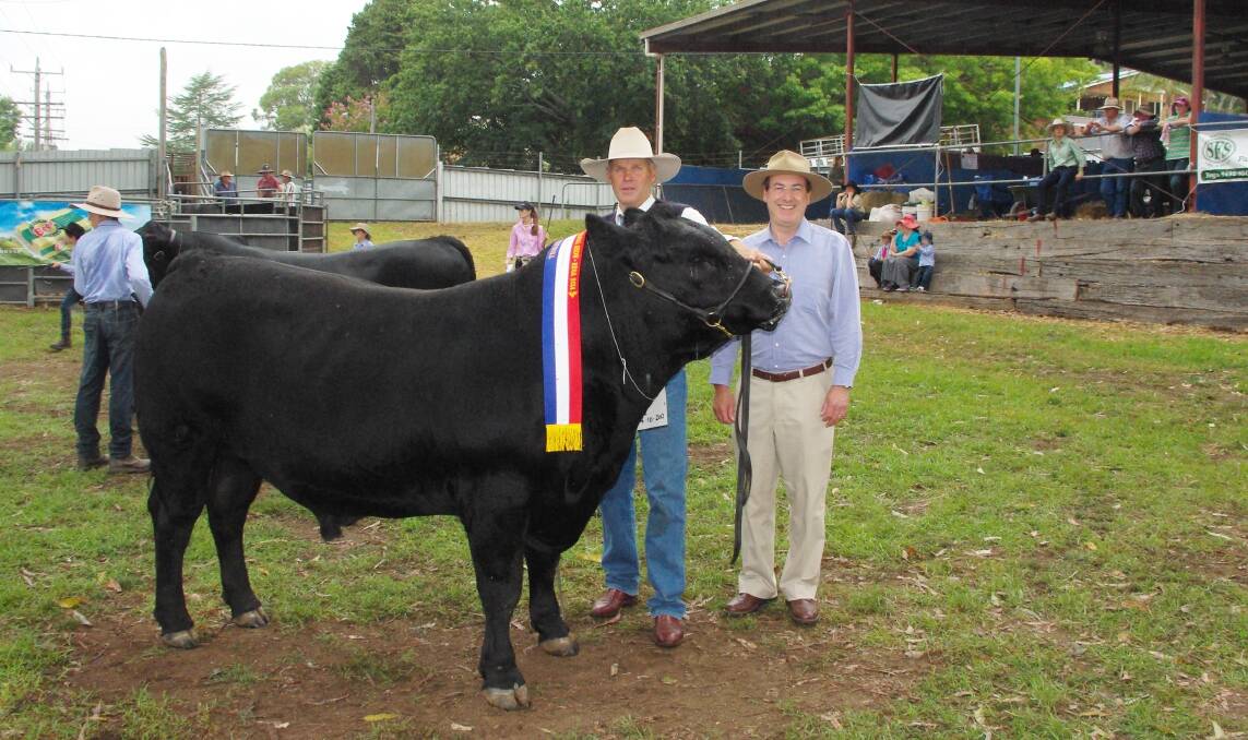 Member for Eden-Monaro Peter Hendy (right) sashes Martin Walters’ champion bull of the show Rosskin Equator H61.
