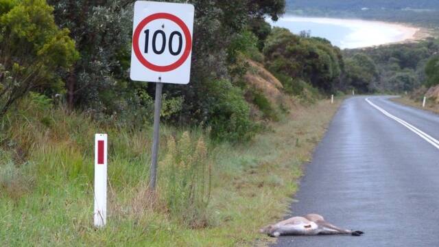 Local residents are raising concerns over 100kmh speed zones along the Tathra-Bermagui Rd.